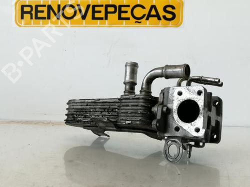 Egr VW GOLF V (1K1) 1.9 TDI | BP19064782M69 