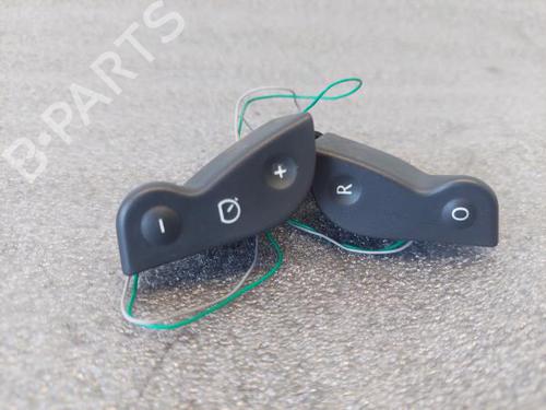 Pulsantiera RENAULT MEGANE II (BM0/1_, CM0/1_) [2001-2012]  16591407