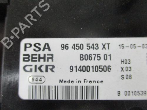 Commande Chauffage CITROËN XSARA PICASSO (N68) 1.6 HDi | BP16596500I5