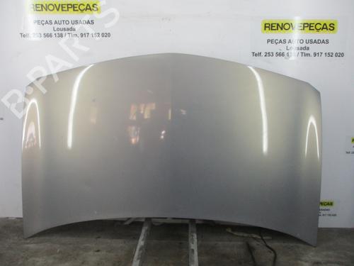 Panser RENAULT MEGANE II (BM0/1_, CM0/1_) [2001-2012]  16598510