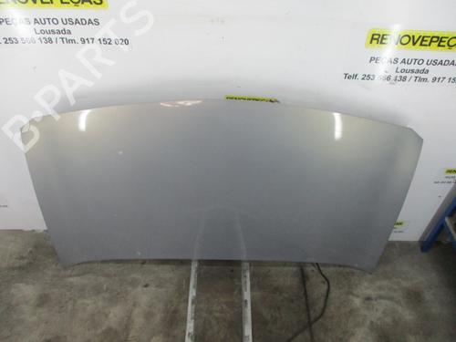 Panser RENAULT MEGANE II (BM0/1_, CM0/1_)  | BP16598510C1