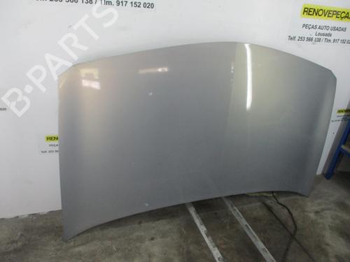 Panser RENAULT MEGANE II (BM0/1_, CM0/1_)  | BP16598510C1