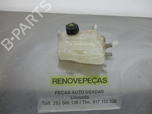 Outra RENAULT SCÉNIC III (JZ0/1_) 1.5 dCi (110 hp)null