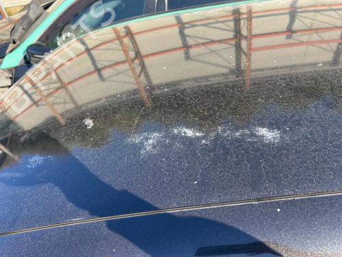 Steering wheel TOYOTA STARLET (_P8_) 1.3 XL (EP81) | BP32385980C49 