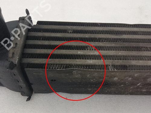 Intercooler CITROËN NEMO Box Body/MPV (AA_) 1.3 HDi 75 | BP40545199M30  - Image 6