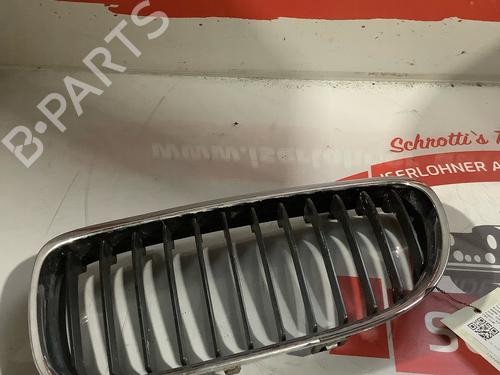 Grille BMW 3 (E90) 320 i | BP18971085C40