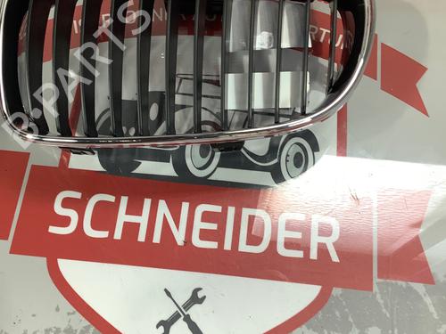 Grill Grill BMW 1 (E87) 120 d (163 hp) 15224205 15224205