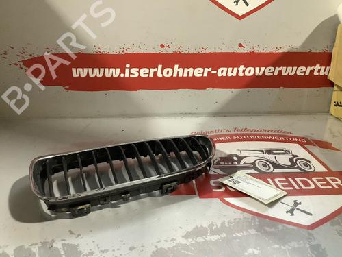 Grille BMW 3 (E90) 320 i | BP18971085C40