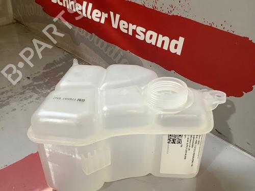 Used Expansion tank FORD FIESTA V (JH_, JD_) 1.3 (60 hp) 17323972