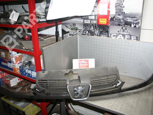 Grill PEUGEOT 206 Hatchback (2A/C) 1.4 16V (88 hp) 4580827
