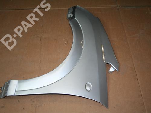 Left front fenders OPEL MERIVA A MPV (X03) 1.3 CDTI (E75) | BP4581362C41 