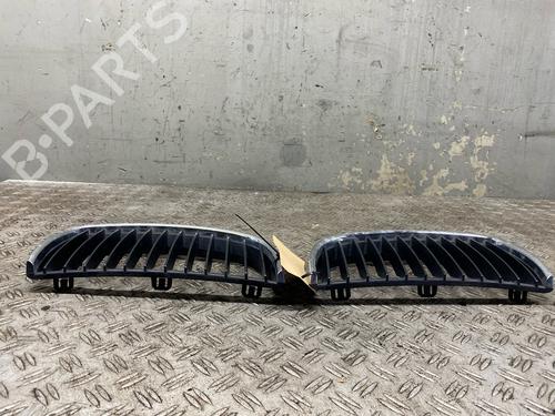Grille BMW 3 Touring (E91) 318 i | BP29613070C40 