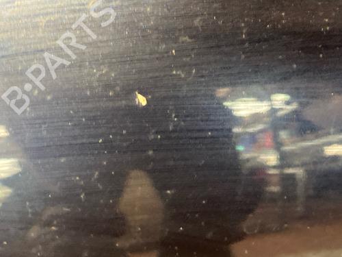 Left front door MERCEDES-BENZ M-CLASS (W164) ML 350 4-matic (164.186) | BP19342534C2 