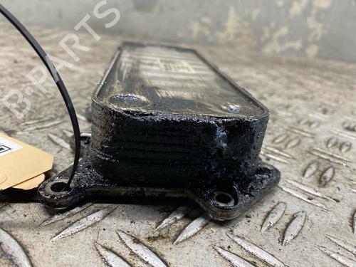 Oil radiator MERCEDES-BENZ E-CLASS T-Model (S211) E 280 T CDI (211.220) | BP29539133M33