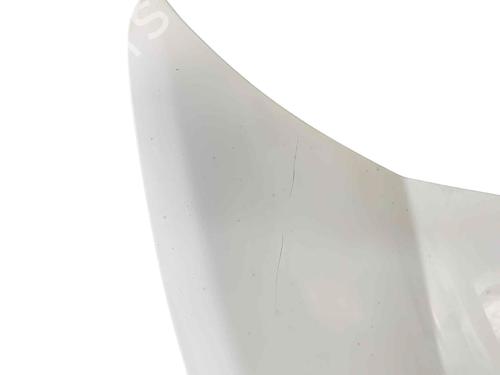 Hood FIAT SCUDO Van (270_, 272_) 2.0 D Multijet | BP29568188C1 
