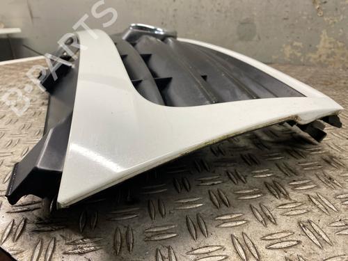 Grille FIAT SCUDO Van (270_, 272_) 2.0 D Multijet | BP29568189C40 