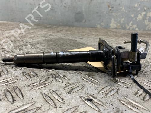 Injector AUDI A8 D3 (4E2, 4E8) 4.2 TDI quattro | BP30129079M100 