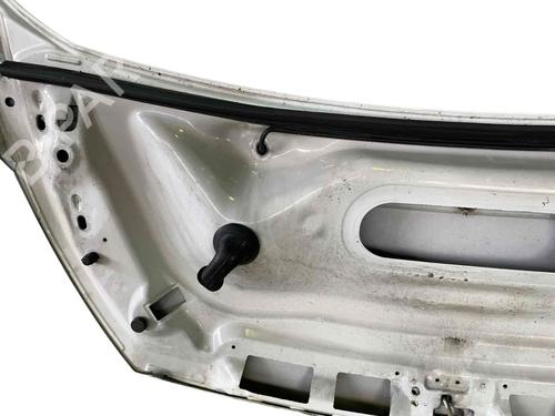 Hood FIAT SCUDO Van (270_, 272_) 2.0 D Multijet | BP29568188C1 