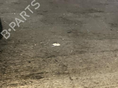 Left front door BMW 5 Touring (E61) 520 d | BP17079337C2 