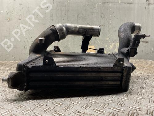 Ladeluftkühler AUDI A8 D3 (4E2, 4E8) 4.2 TDI quattro | BP29917906M30