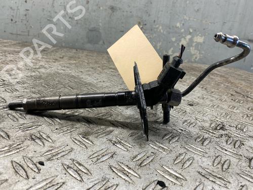 Injector AUDI A8 D3 (4E2, 4E8) 4.2 TDI quattro | BP30129076M100 