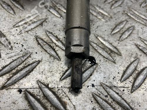 Injector AUDI A8 D3 (4E2, 4E8) 4.2 TDI quattro | BP30129073M100 