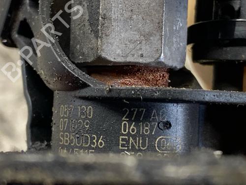 Injector AUDI A8 D3 (4E2, 4E8) 4.2 TDI quattro | BP30129075M100 