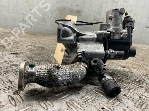 Egr AUDI A8 D3 (4E2, 4E8) 4.2 TDI quattro | BP30089950M69