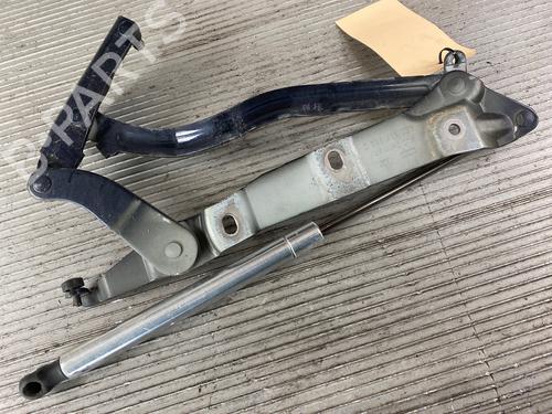 Hinge/Door check strap AUDI A8 D3 (4E2, 4E8) 3.7 quattro | BP14606219C146 