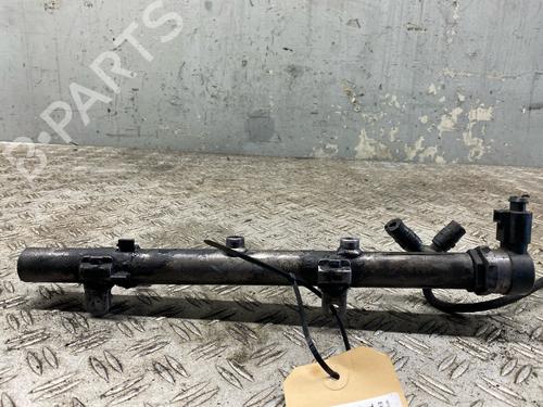 Injection rail AUDI A8 D3 (4E2, 4E8) 4.2 TDI quattro | BP30129070M98 