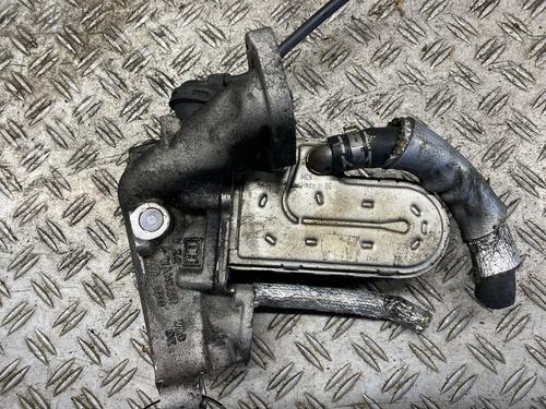 Egr AUDI A8 D3 (4E2, 4E8) 4.2 TDI quattro | BP30129067M69 