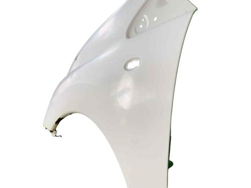 Left front fenders FIAT SCUDO Van (270_, 272_) 2.0 D Multijet | BP29568186C41 