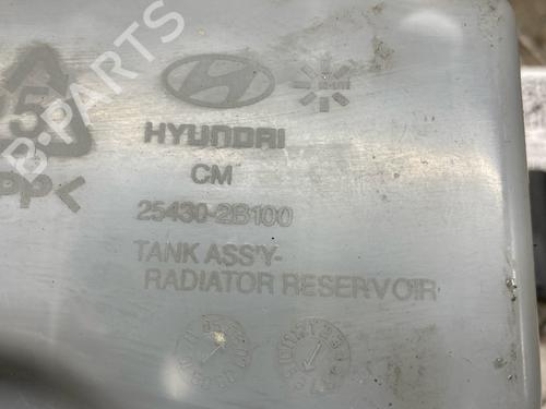 Expansion tank HYUNDAI SANTA FÉ II (CM) 2.2 CRDi 4x4 | BP27506030C120 