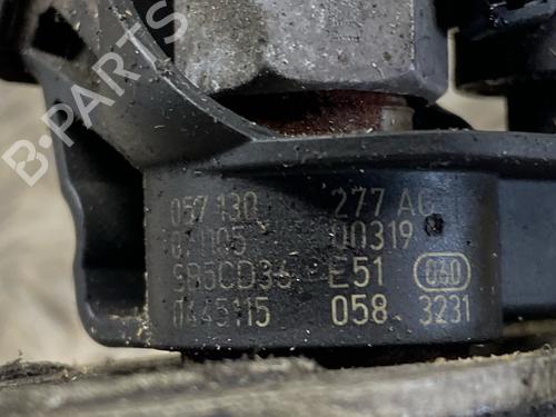 Injector AUDI A8 D3 (4E2, 4E8) 4.2 TDI quattro | BP30129074M100 