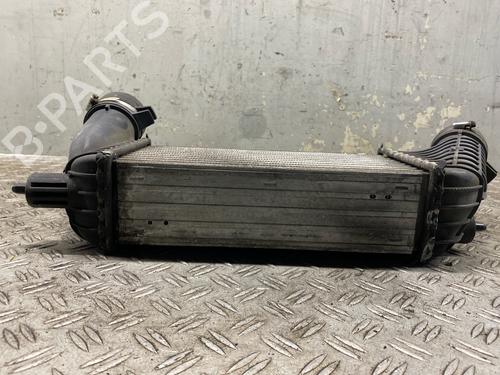 Intercooler FIAT SCUDO Van (270_, 272_) 2.0 D Multijet | BP29568201M30