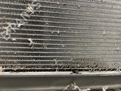 Water radiator VW GOLF V (1K1) 1.4 TSI | BP28151341M31