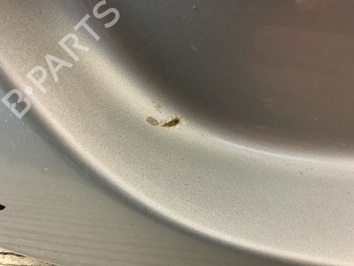 Tailgate MERCEDES-BENZ CLS (C219) CLS 350 (219.357) | BP21845254C6 