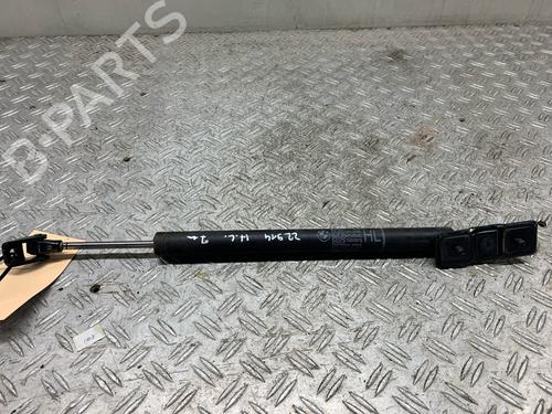 Hinge/Door check strap BMW 7 (F01, F02, F03, F04) 750 i, Li xDrive | BP23892791C146 