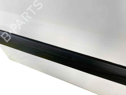 Right front door FIAT SCUDO Van (270_, 272_) 2.0 D Multijet | BP29568185C3 
