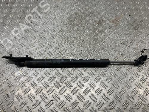 Charnière/Limiteur de porte BMW 7 (F01, F02, F03, F04) 750 i, Li xDrive (408 hp) 23892791