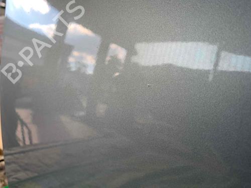 Left front door BMW 3 Touring (E91) 318 i | BP29613052C2 
