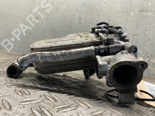 Egr AUDI A8 D3 (4E2, 4E8) 4.2 TDI quattro | BP30129067M69 