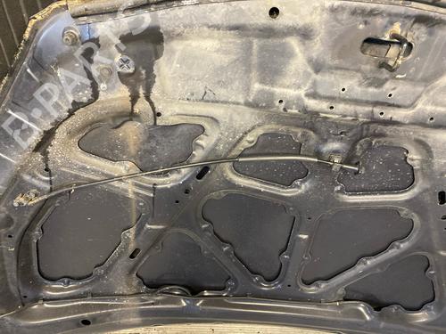 Hood KIA CEE'D Hatchback (ED) 1.4 | BP20325627C1 