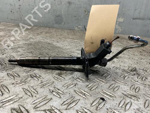 Injector AUDI A8 D3 (4E2, 4E8) 4.2 TDI quattro | BP30129077M100 