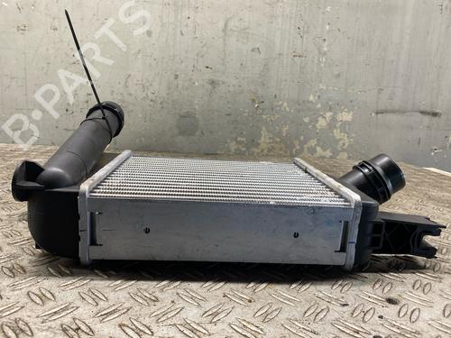 Intercooler DACIA DOKKER MPV (KE_) 1.2 TCe (KEM0, KEAY) | BP29809253M30 