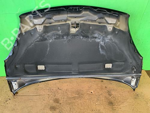 Hood CITROËN XSARA PICASSO (N68) 2.0 HDi | BP24888681C1 