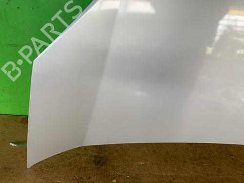 Hood FIAT FIORINO Box Body/MPV (225_) 1.4 (225BXA1A, 225BXF1A) | BP24935931C1