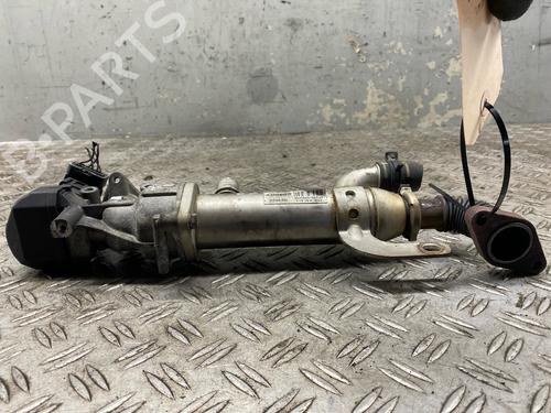 Egr FIAT SCUDO Van (270_, 272_) 2.0 D Multijet | BP29568207M69
