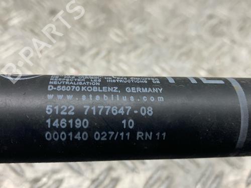 Hinge/Door check strap BMW 7 (F01, F02, F03, F04) 750 i, Li xDrive | BP23892791C146 
