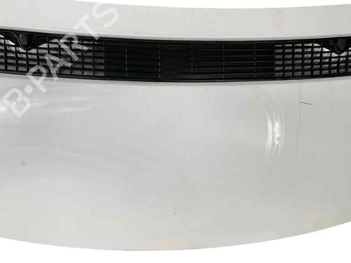 Hood FIAT SCUDO Van (270_, 272_) 2.0 D Multijet | BP29568188C1 